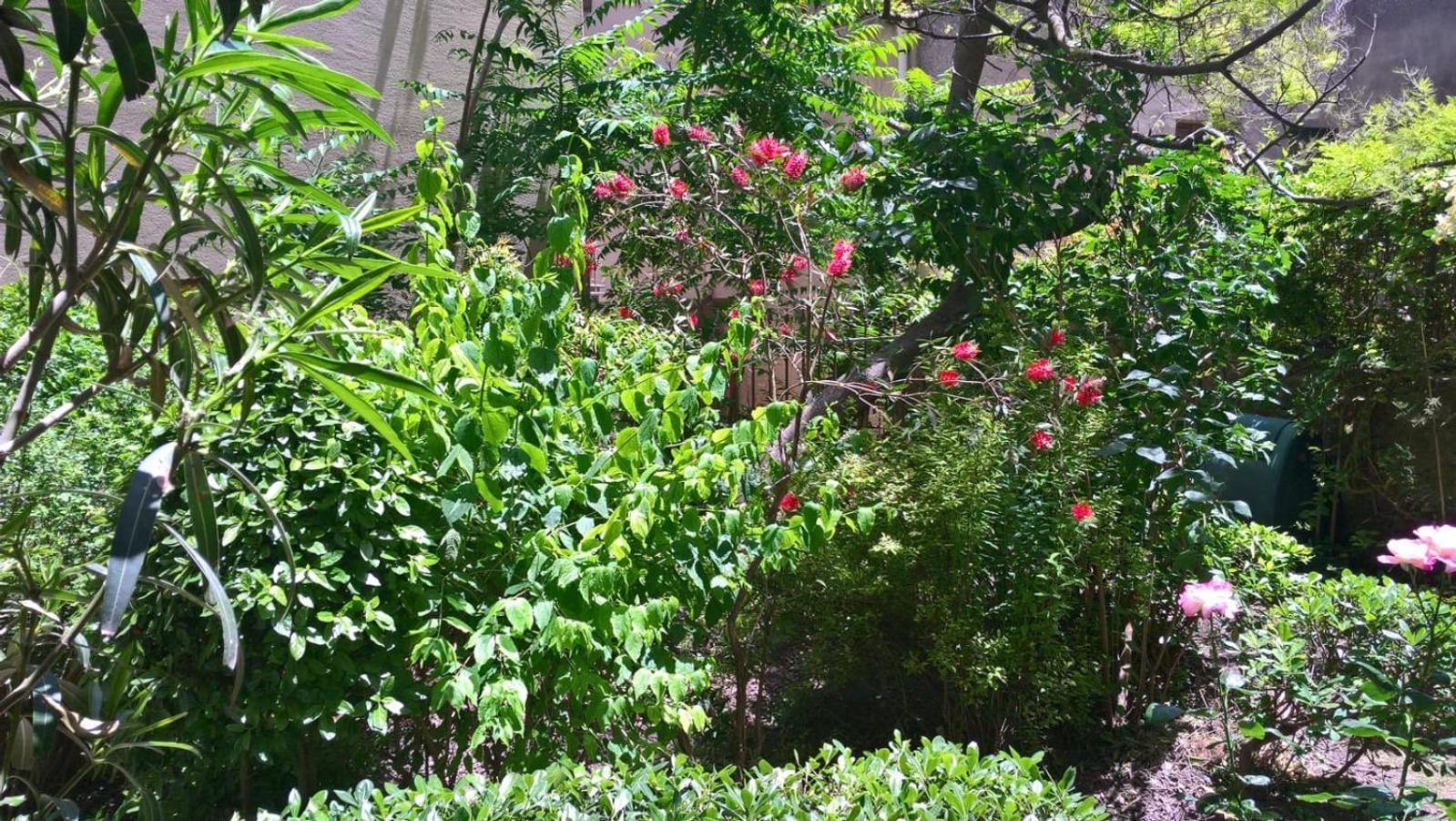B&B Fleurs Enna Exterior foto