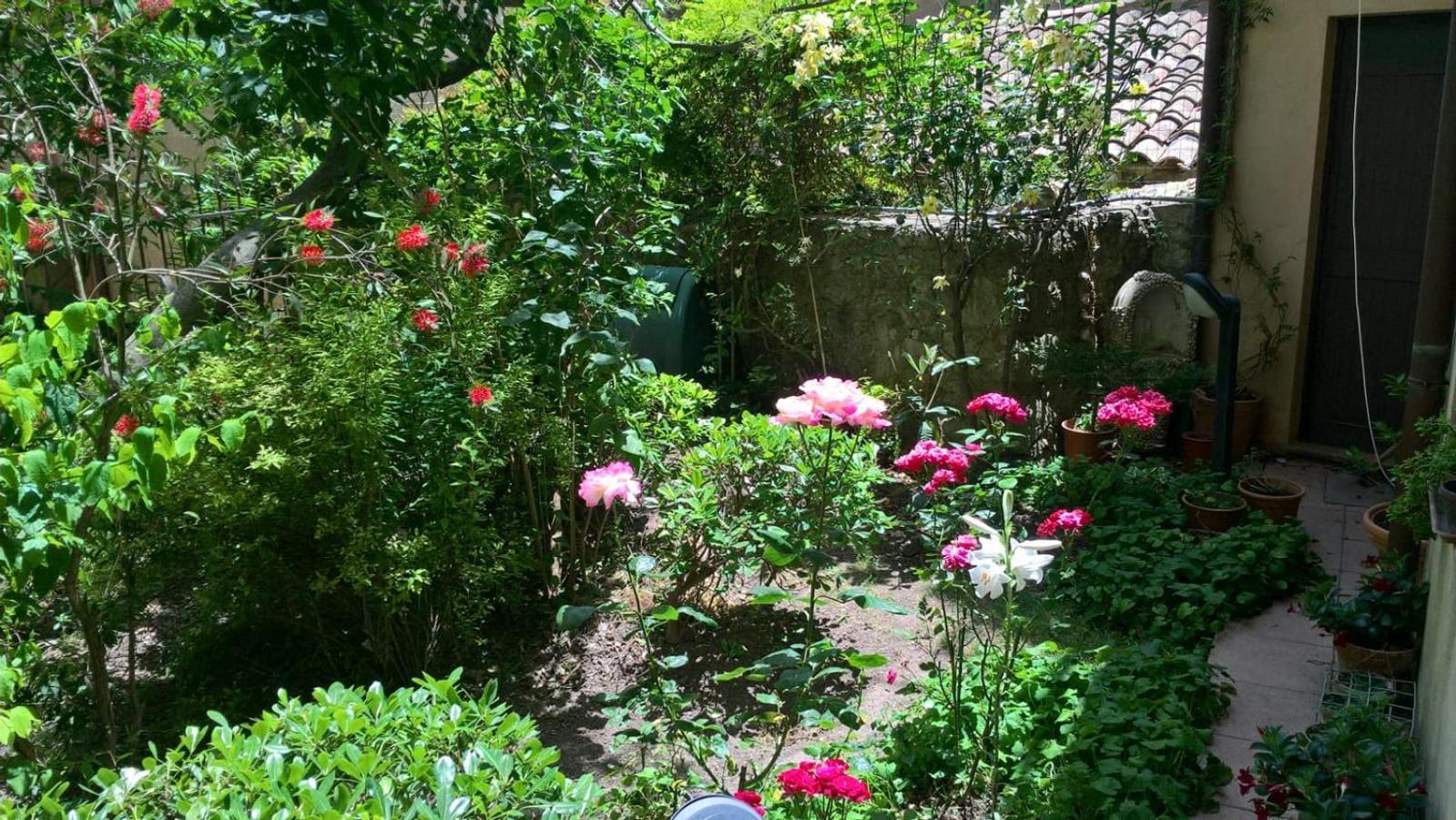 B&B Fleurs Enna Exterior foto