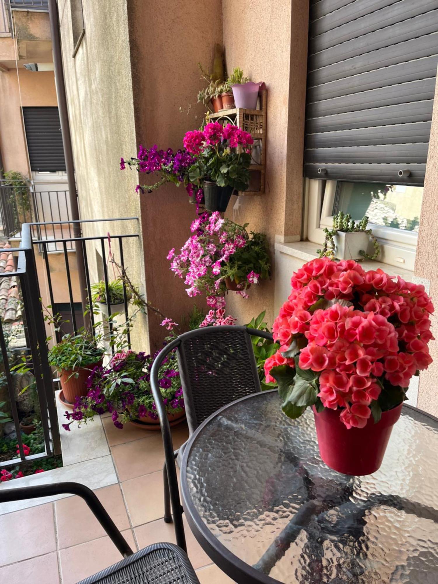 B&B Fleurs Enna Exterior foto